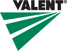 VALENT